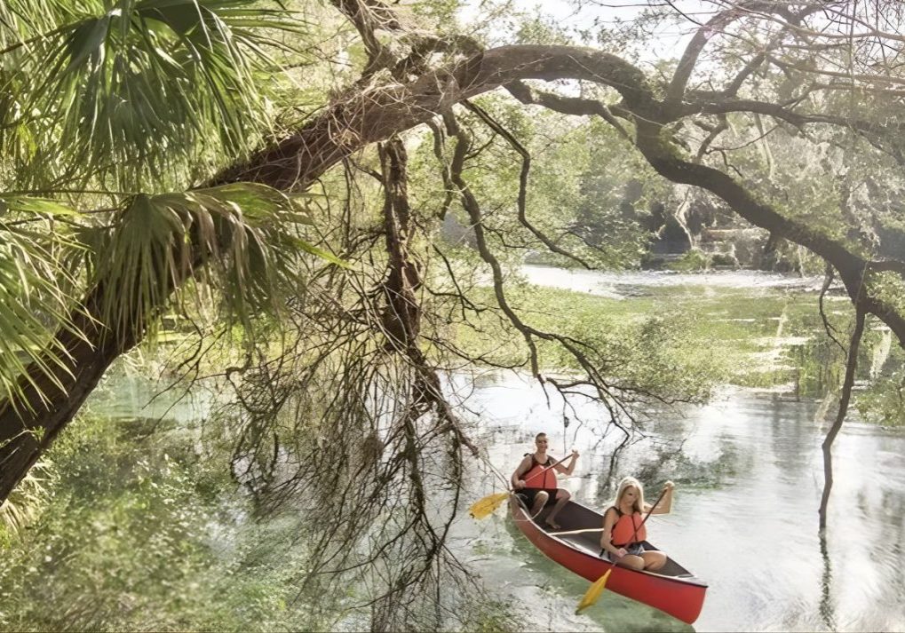 Top 10 most Instagrammable spots in Ocala