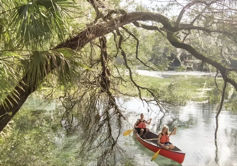 Top 10 most Instagrammable spots in Ocala